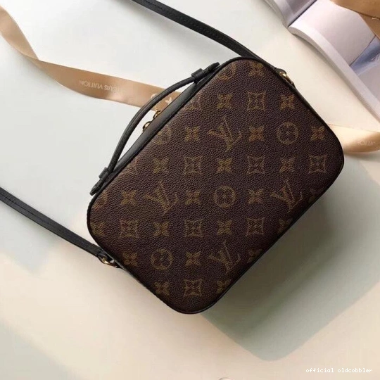 Official oldcobbler LOUIS VUITTON SAINTONGE 0814